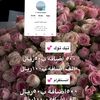 ommansour5