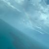 jeffrey_taylor0