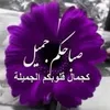 elsayedelhoseny0