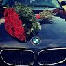 user90538126
