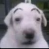 skylerhawj