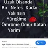 sadceyalaniz