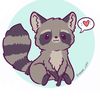 racoon_ticktok209