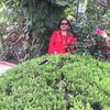seemabhandari37