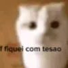 gustavinbr4321