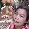 pa_yae