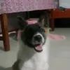 _qkhanh3011