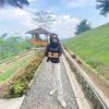 life_style.id