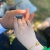 mimo_al21