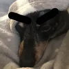 holamayamodora