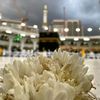 abdelrahmannasser20