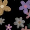 strawflowerra