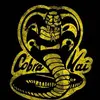 Cobra kai 🐍🐍