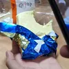 wojtas_zmy