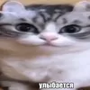 user20483946