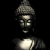 thanh.sn551