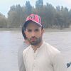 syedarifshah19