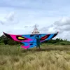 nganha_84h1