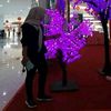ifah121296