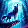 user480417051