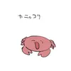 octopus_317