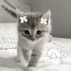 ksenia_love145