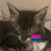 alexhobbit