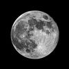moon990112