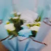 piyakkk04