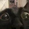 reesecatherinee
