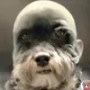 analauragarciiaa