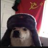 wolfzgo