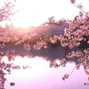 mina_0503_