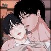 lin.honaky.shiro