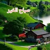 user7035816190336