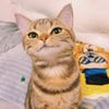 seyun_kun
