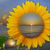 mary_lunita_1206._