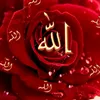 sidra.sy89