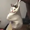 fleurnctrn