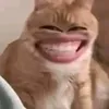 anhhaibi0