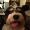 jakepup69