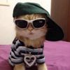 little.miss.wap