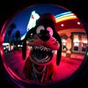 magicgxy