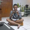 kembaranabin