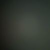 sid_7869