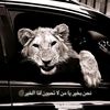 user461525210
