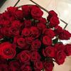 user393198885723