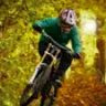 the_forestbiker