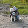 dog_matism