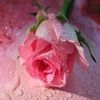 irshadgujjar24
